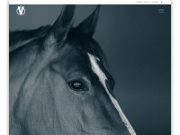 pferdedentalpraktik.eu Webseite Vorschau