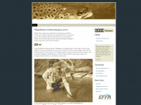 flyfisher.ch Webseite Vorschau