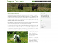 fengatedartmoors.co.uk Webseite Vorschau