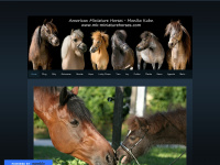 mk-miniaturehorses.com Webseite Vorschau