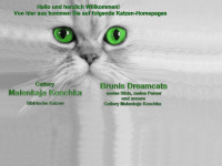 brunis-dreamcats.de Webseite Vorschau