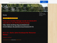 team-hundeplatz.de.tl Webseite Vorschau