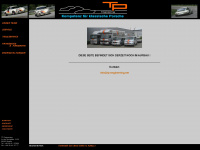 tp-engineering.net Webseite Vorschau