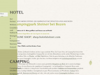 campingsteiner.com Webseite Vorschau