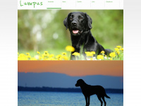 lumpus.de Webseite Vorschau