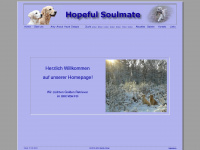 hopeful-soulmate.de Webseite Vorschau