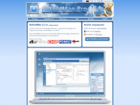 netsetman.com Webseite Vorschau