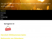 rvottenberg.ch Webseite Vorschau