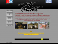 tswh.ch Webseite Vorschau