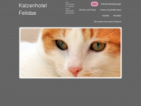 katzenhotel.info Webseite Vorschau