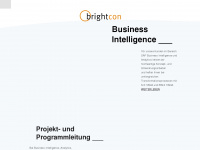 brightcongroup.com Webseite Vorschau