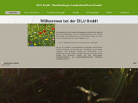 dilu-egg.de Webseite Vorschau