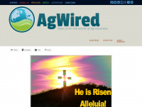 agwired.com Webseite Vorschau