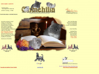 vienna.chinchillas.at Webseite Vorschau