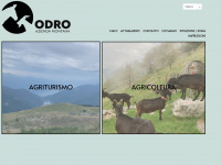 odro.ch Webseite Vorschau
