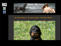 blackmystery.com Webseite Vorschau