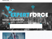 expertforce.net Webseite Vorschau