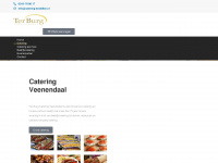 catering-bestellen.nl Webseite Vorschau