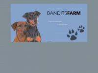 banditsfarm.be Webseite Vorschau