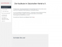 salzstrasse.com Webseite Vorschau