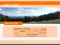 ping-solutions.at Webseite Vorschau