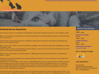 bund-der-katzenfreunde.de Webseite Vorschau