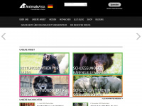 animalsasia.org Webseite Vorschau