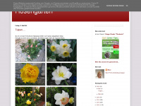 rosengarten-rosen.blogspot.com Webseite Vorschau