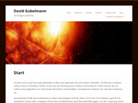 davidgubelmann.ch Webseite Vorschau