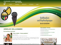goisern.goldhauben.info Webseite Vorschau