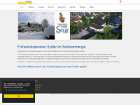 pension.sydler.at Webseite Vorschau