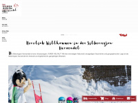 silberregion-karwendel.com Webseite Vorschau