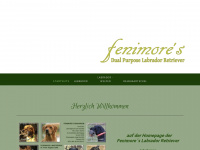 fenimore.at Webseite Vorschau