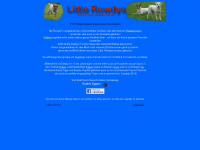 little-rowdy.de Webseite Vorschau
