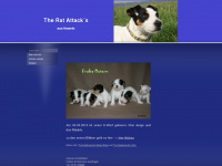 russell-terrier-hameln.de Webseite Vorschau