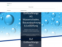 ruf-technik.ch Webseite Vorschau