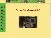 rauhhaarteckel-von-fuerstenwalde.de Webseite Vorschau