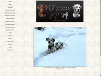 ozone-dogs.net Webseite Vorschau