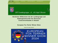 foxterrier-hessen.de Webseite Vorschau