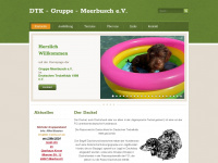 dtk-gruppe-meerbusch.de Webseite Vorschau