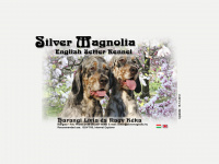 silvermagnolia.hu Webseite Vorschau