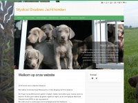 mysticalshadows.nl Webseite Vorschau