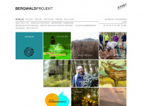 bergwaldprojekt.de Webseite Vorschau