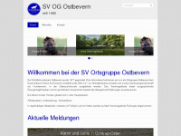 sv-og-ostbevern.de Webseite Vorschau