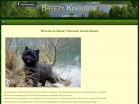 breezykingussie.nl Webseite Vorschau