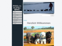 bolonka-zucht.ch Webseite Vorschau
