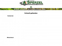 brennholz-sperzel.de Webseite Vorschau