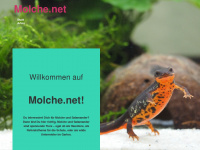 molche.net Webseite Vorschau