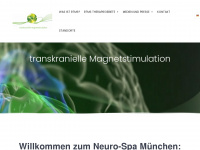 magnetstimulation.org Webseite Vorschau