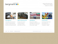 bergmann-marketing.de Webseite Vorschau
